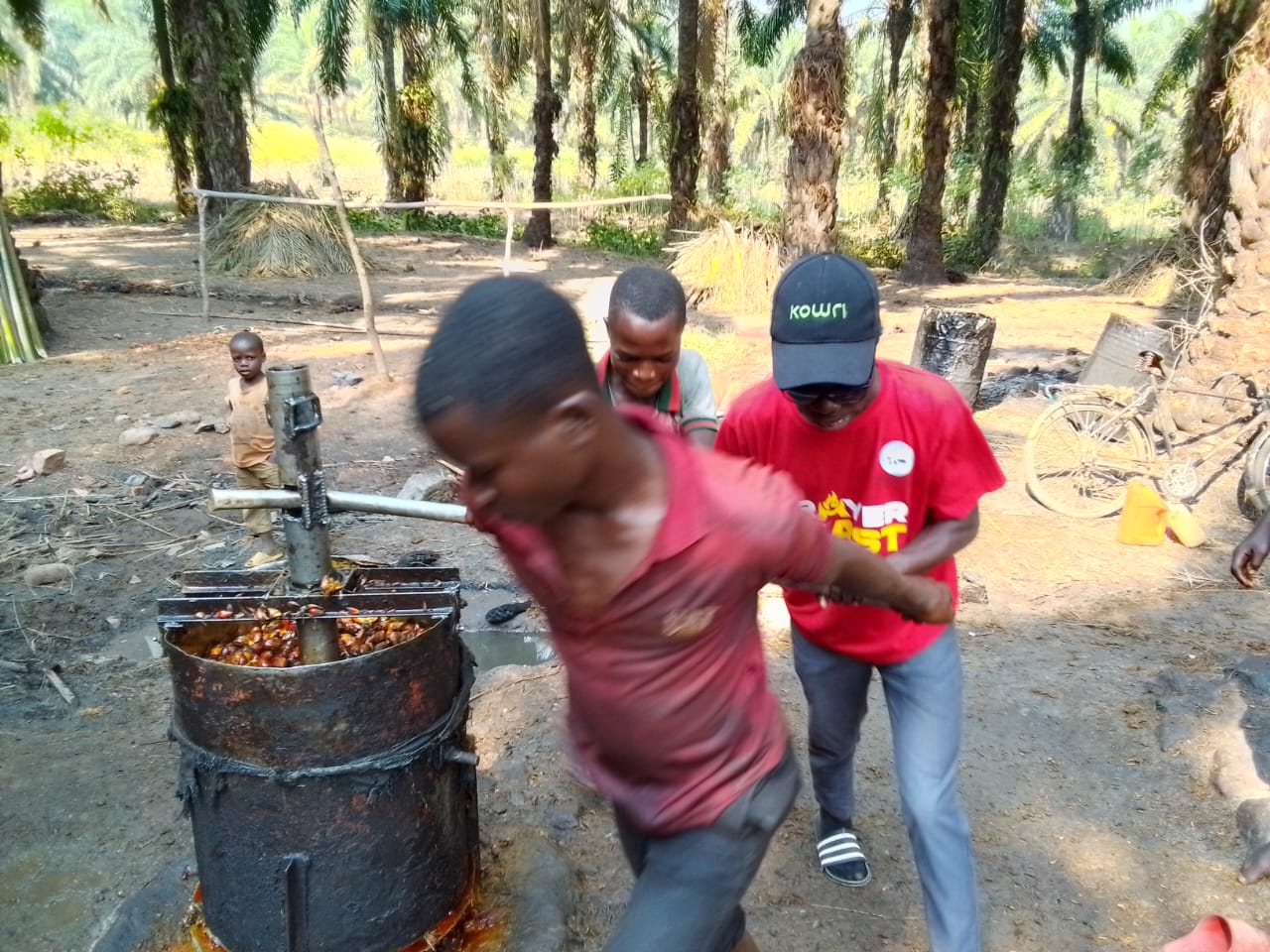 Traditional palm oil extraction challenges